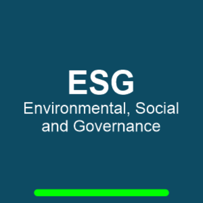 VIKON COMPLIANCE ESG Environmental, Social and Governance São Paulo